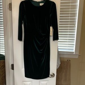 Elegant Green Velvet Dress